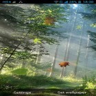 Outre le fond d'écran animé Les avions pour Android téléchargez l'apk gratuit de screensaver Forêt .
