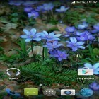 Téléchargez Fleurs forestières  sur Android et d'autres fonds d'écran animés gratuits pour HTC Desire.