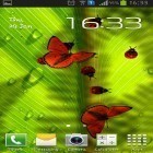 Outre le fond d'écran animé Coeurs roses  pour Android téléchargez l'apk gratuit de screensaver Scarabées aimables .