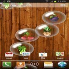 Outre le fond d'écran animé Papillon 3D  pour Android téléchargez l'apk gratuit de screensaver Fruits .