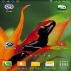 Outre le fond d'écran animé Océan  pour Android téléchargez l'apk gratuit de screensaver Grenouilles: Secouez et changez .