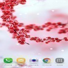 Outre le fond d'écran animé Rayons infinis  pour Android téléchargez l'apk gratuit de screensaver Beauté congelée: Conte d'hiver.