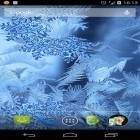 Outre le fond d'écran animé Caverne épique de lave   pour Android téléchargez l'apk gratuit de screensaver Vitre congelée .