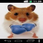 Outre le fond d'écran animé Le ciel bleu  pour Android téléchargez l'apk gratuit de screensaver Hamster amusant: Ecran craqué.