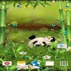 Téléchargez Panda ridicule  sur Android et d'autres fonds d'écran animés gratuits pour Samsung Galaxy Mini 2.