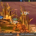 Outre le fond d'écran animé Jardin Zen  pour Android téléchargez l'apk gratuit de screensaver Aquarium galactique .