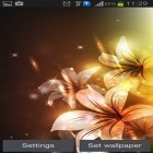 Outre le fond d'écran animé La flamme  pour Android téléchargez l'apk gratuit de screensaver Fleurs lumineuses .