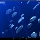 Outre le fond d'écran animé Chrono numérique  pour Android téléchargez l'apk gratuit de screensaver Méduses 3D.