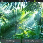 Outre le fond d'écran animé Ange de feu pour Android téléchargez l'apk gratuit de screensaver Jungle.