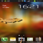 Outre le fond d'écran animé Avions militaires  pour Android téléchargez l'apk gratuit de screensaver Lézard dans le portable .