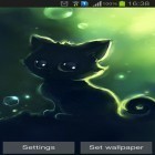 Outre le fond d'écran animé Peinture à la main pour Android téléchargez l'apk gratuit de screensaver Chaton solitaire noir .