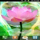 Outre le fond d'écran animé L`écran panoramique  pour Android téléchargez l'apk gratuit de screensaver Lotus.