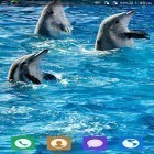 Outre le fond d'écran animé Amour d'un oiseau et d'un poisson   pour Android téléchargez l'apk gratuit de screensaver Dauphin magnifique .