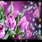 Outre le fond d'écran animé Soirée des fées   pour Android téléchargez l'apk gratuit de screensaver Papillons magiques .