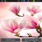 Outre le fond d'écran animé Mixer coloré pour Android téléchargez l'apk gratuit de screensaver Magnolia.