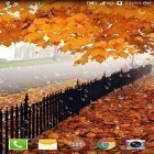 Téléchargez Erable: Gouttelettes sur Android et d'autres fonds d'écran animés gratuits pour LG Optimus 4X HD P880.