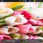 Outre le fond d'écran animé Horloge chat  pour Android téléchargez l'apk gratuit de screensaver Le 8 mars.
