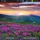 Outre le fond d'écran animé Fleurs printanières: Magie pour Android téléchargez l'apk gratuit de screensaver Fleur de montagne .