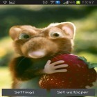 Outre le fond d'écran animé Koi pour Android téléchargez l'apk gratuit de screensaver Souris avec la fraise.