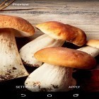 Outre le fond d'écran animé Le ciel bleu  pour Android téléchargez l'apk gratuit de screensaver Champignons.