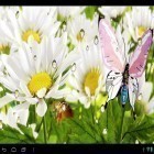 Outre le fond d'écran animé L`Amérindien  pour Android téléchargez l'apk gratuit de screensaver Ma fleur .