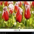 Outre le fond d'écran animé Neige noire pour Android téléchargez l'apk gratuit de screensaver Ma fleur 3D.