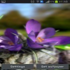 Outre le fond d'écran animé Chat animé  pour Android téléchargez l'apk gratuit de screensaver Vie organique: Fleurs printanières 3D.