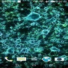 Outre le fond d'écran animé Poissons coralliens  pour Android téléchargez l'apk gratuit de screensaver Neurone .