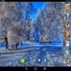Outre le fond d'écran animé Lis et tulipes de printemps pour Android téléchargez l'apk gratuit de screensaver Bel hiver .