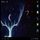 Outre le fond d'écran animé L`arbre solitaire pour Android téléchargez l'apk gratuit de screensaver Porteur de la nuit .