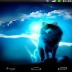 Outre le fond d'écran animé Moto de sport  pour Android téléchargez l'apk gratuit de screensaver La nuit des loups.