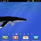 Outre le fond d'écran animé Diaporama 500  pour Android téléchargez l'apk gratuit de screensaver Océan: Baleine.