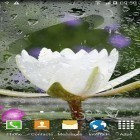 Outre le fond d'écran animé Narendra Modi pour Android téléchargez l'apk gratuit de screensaver Orient.