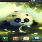 Outre le fond d'écran animé Galaxie 3D  pour Android téléchargez l'apk gratuit de screensaver Le petit panda.