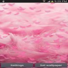 Outre le fond d'écran animé Aquarium pour Android téléchargez l'apk gratuit de screensaver Plume rose.
