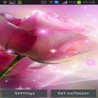 Outre le fond d'écran animé La prairie psychédélique  pour Android téléchargez l'apk gratuit de screensaver Roses de la couleur de rose .