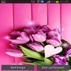 Outre le fond d'écran animé Fruits  pour Android téléchargez l'apk gratuit de screensaver Tulipes roses .