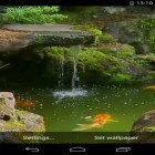 Outre le fond d'écran animé Forêt tropique 3D  pour Android téléchargez l'apk gratuit de screensaver Etang avec Koi.