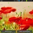 Outre le fond d'écran animé Lapin gentil  pour Android téléchargez l'apk gratuit de screensaver Pavots de champ.