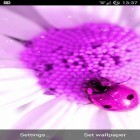 Outre le fond d'écran animé La rose 3D pour Android téléchargez l'apk gratuit de screensaver Rose splendide .