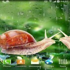 Outre le fond d'écran animé Marguerites  pour Android téléchargez l'apk gratuit de screensaver La pluie .
