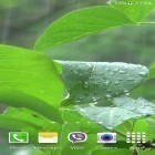 Outre le fond d'écran animé L`île-crane  pour Android téléchargez l'apk gratuit de screensaver Averse.