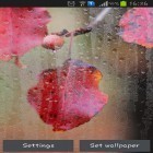 Outre le fond d'écran animé Moto maxx pour Android téléchargez l'apk gratuit de screensaver Automne pluvieux .
