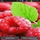 Outre le fond d'écran animé Amour du vampire  pour Android téléchargez l'apk gratuit de screensaver Framboise.