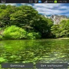 Outre le fond d'écran animé Printemps vert pour Android téléchargez l'apk gratuit de screensaver Rivière.