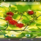 Outre le fond d'écran animé La ville nocturne  pour Android téléchargez l'apk gratuit de screensaver Montre avec les roses .