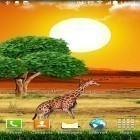 Outre le fond d'écran animé La Terre  pour Android téléchargez l'apk gratuit de screensaver Safari.