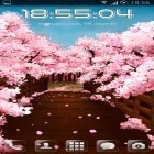 Outre le fond d'écran animé Orage pour Android téléchargez l'apk gratuit de screensaver Le pont de sakura .