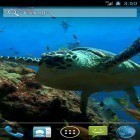Outre le fond d'écran animé Sirène de police: Lumière et bruit pour Android téléchargez l'apk gratuit de screensaver Tortue de mer .