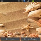 Outre le fond d'écran animé Perce-neige pour Android téléchargez l'apk gratuit de screensaver Coquillage de mer.